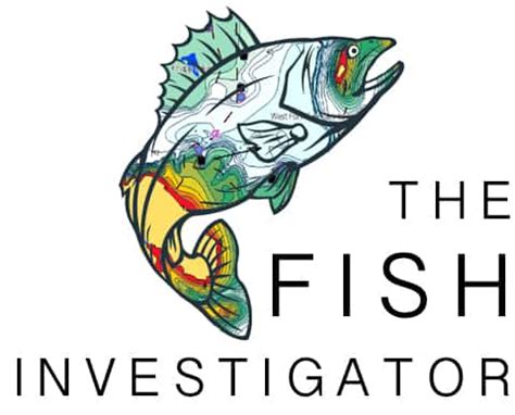 Why Fish Jump Out Of The Water: The Answer Is Shocking!.